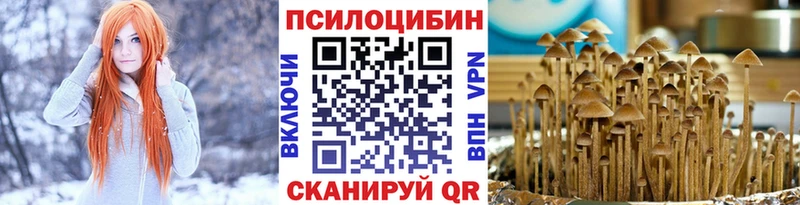 Псилоцибиновые грибы ЛСД Будённовск